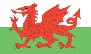 Welsh Dragon Ring